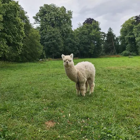 Chateau D'humieres - Casa Clementine