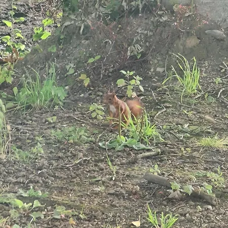 Chateau D'humieres - Casa Clementine Humieres